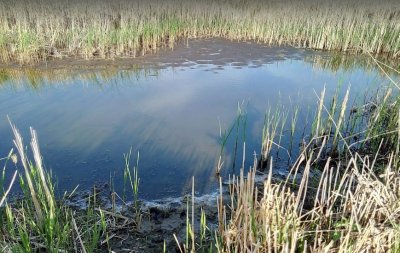 Рибальська база «Озеро» у Львівській області