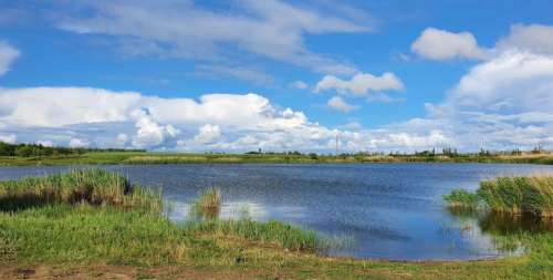 Риболовля на річці Чокрак с. Долинське 