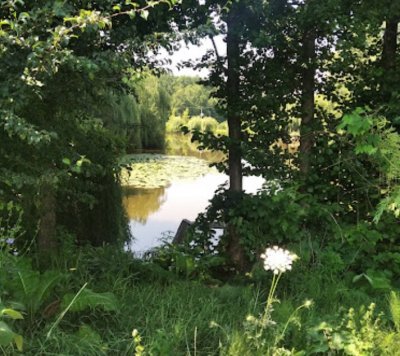 База отдыха «Lost Paradise»