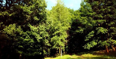 База отдыха «Lost Paradise»