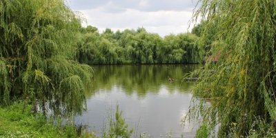 База отдыха «Lost Paradise»