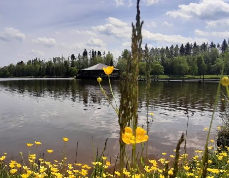 Рыбалка на озере «Водограй»