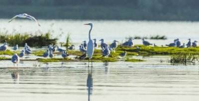 Гостиный двор на хуторе Крещатик