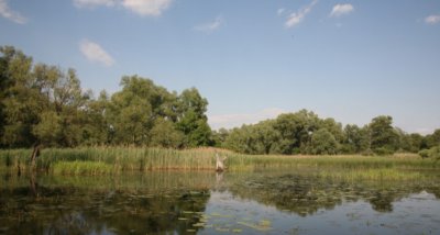 Гостиный двор на хуторе Крещатик