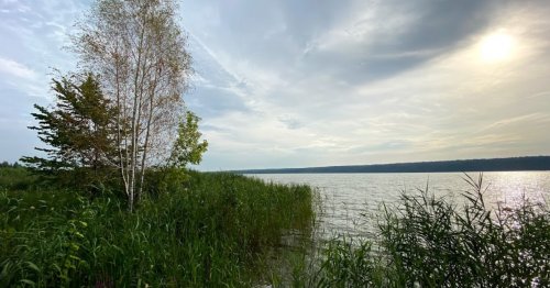 Комплекс відпочинку «Kaniv Fish Club» у Черкаській області