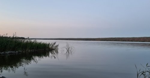 Комплекс відпочинку «Kaniv Fish Club» у Черкаській області