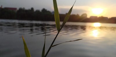 Рыбалка и отдых на водоеме «Заря»