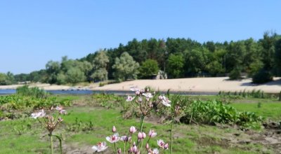 Рыбалка на базе отдыха «Автомобилист»