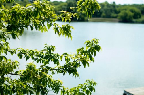 Риболовля на базі відпочинку 