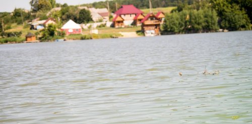 Риболовля на базі відпочинку 