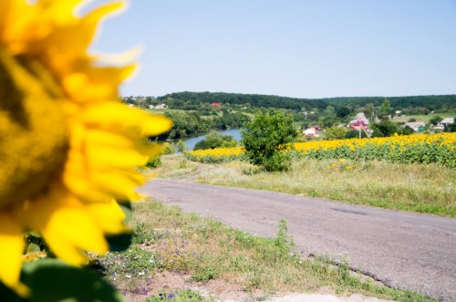 Риболовля на базі відпочинку 
