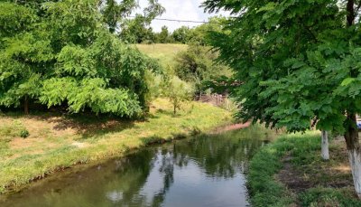 Риболовля на «Форелевій фермі» в Запорізькій області