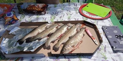 Риболовля на «Форелевій фермі» в Запорізькій області