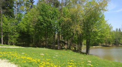 Рыбалка на озере «Водограй»