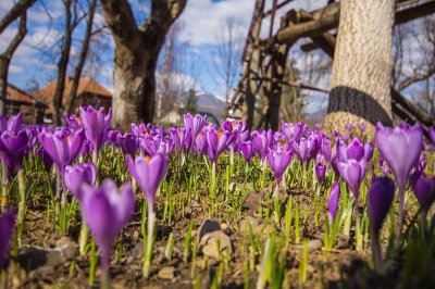 Рыбалка на озере «Водограй»