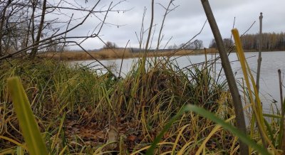 Рыбалка на водоеме в селе Дорофеевка