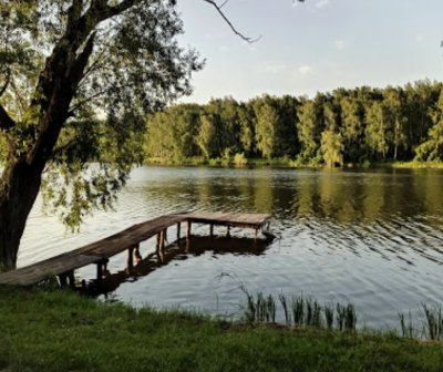 Рыбалка на водоеме в селе Дорофеевка
