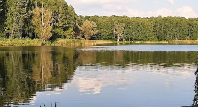 Рыбалка на водоеме в селе Дорофеевка