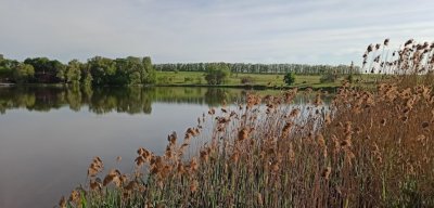 Рыбалка на водоеме в селе Дорофеевка