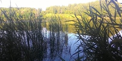 Рыбалка на водоеме в селе Дорофеевка