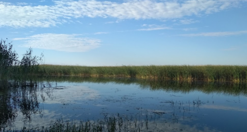 Рибальська база «Дніпровська затока» у Черкаській області 