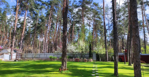 Рибальська база «Дніпровська затока» у Черкаській області 