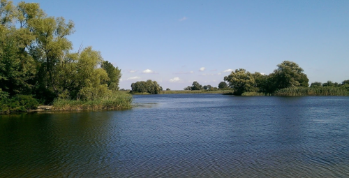 Рибальська база «Дніпровська затока» у Черкаській області 