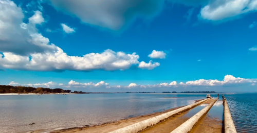 Риболовля на базі відпочинку «Темп» у Черкаській області