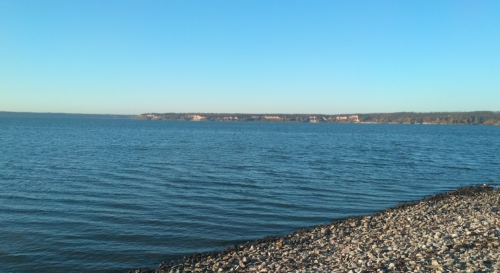 Риболовля на базі відпочинку «Темп» у Черкаській області