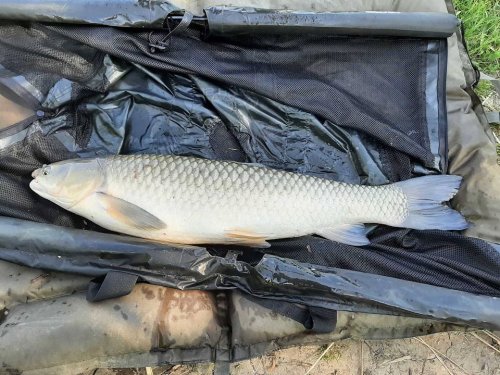 Рыболовная База Ивашки в Полтавской области