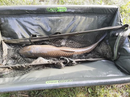 Рыболовная База Ивашки в Полтавской области