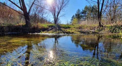 Рыболовная База Ивашки в Полтавской области