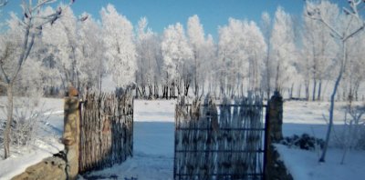 Усадьба  «Днестровский Маеток»