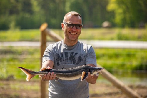 Відпочинковий комплекс «Козацька слобода-Раковець»
