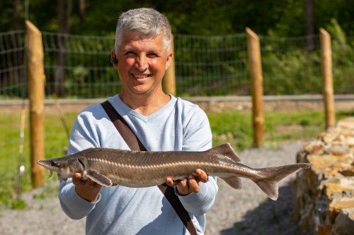 Відпочинковий комплекс «Козацька слобода-Раковець»