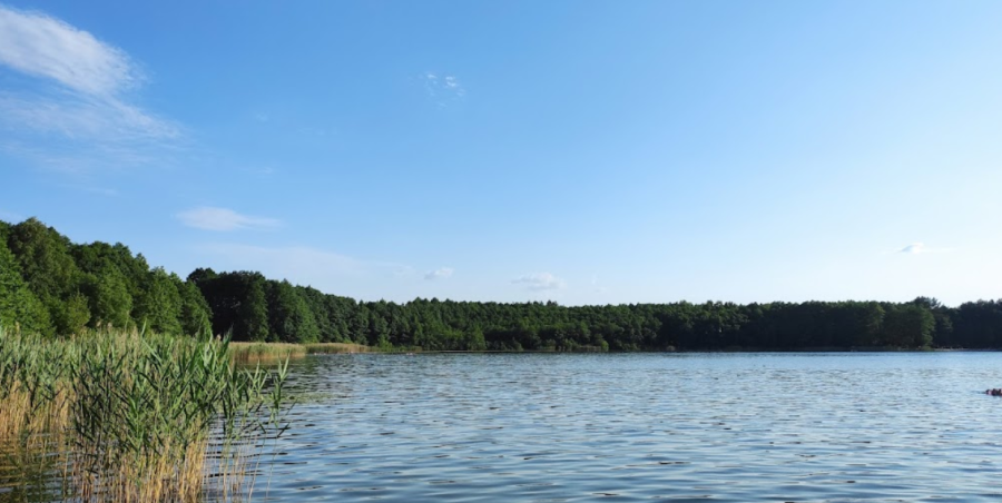 База відпочинку «Аміла»