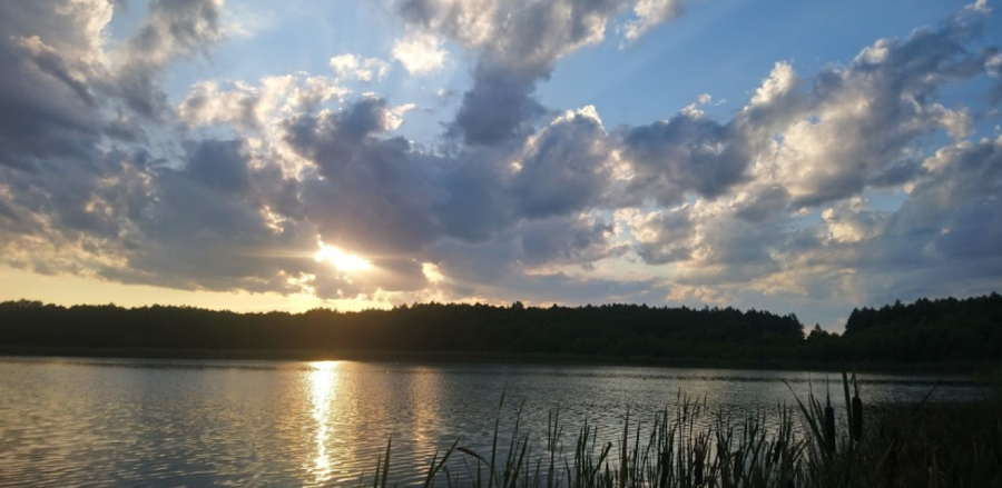 База відпочинку «Аміла»