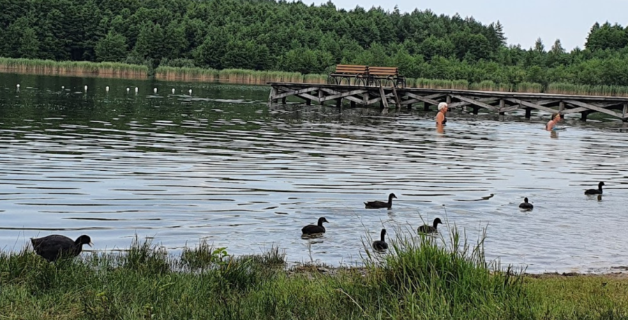 База відпочинку «Аміла»