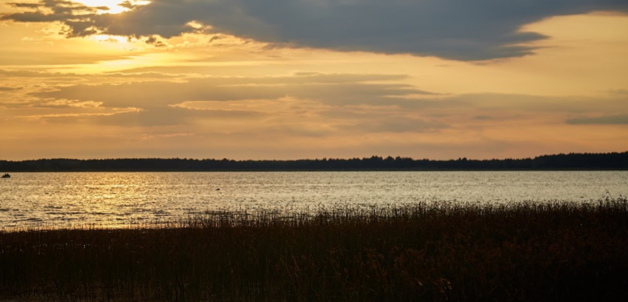База відпочинку «Діана»