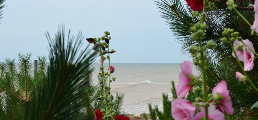 База відпочинку «Діброва» у Запорізькій області