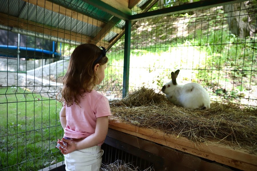 База відпочинку «Forest Stream» на Закарпатській області