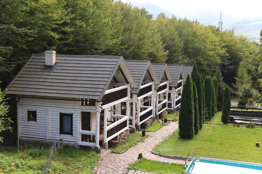 База відпочинку «Forest Stream» на Закарпатській області