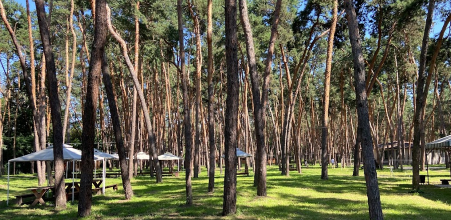 База відпочинку «Лісова на Самарі» у Дніпропетровській області