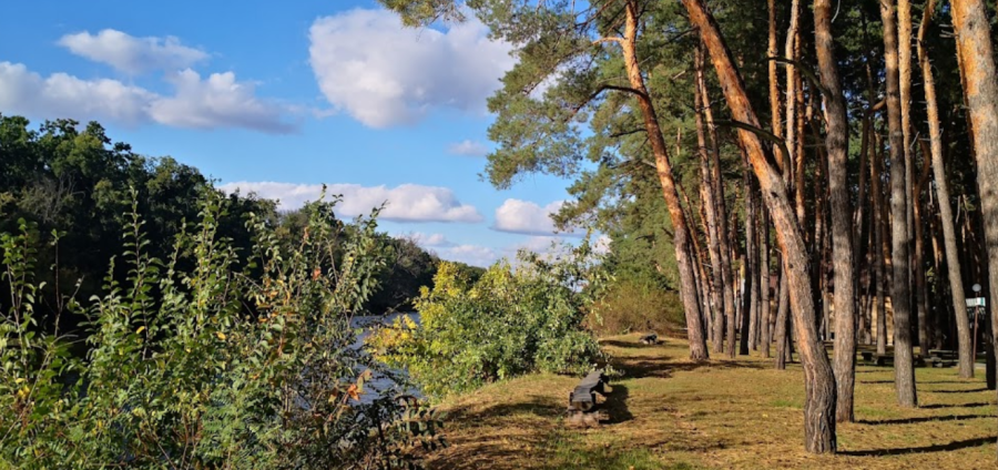 База відпочинку «Лісова на Самарі» у Дніпропетровській області