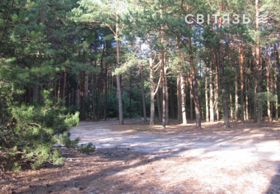 База відпочинку «Лісовик» ур. Гушово