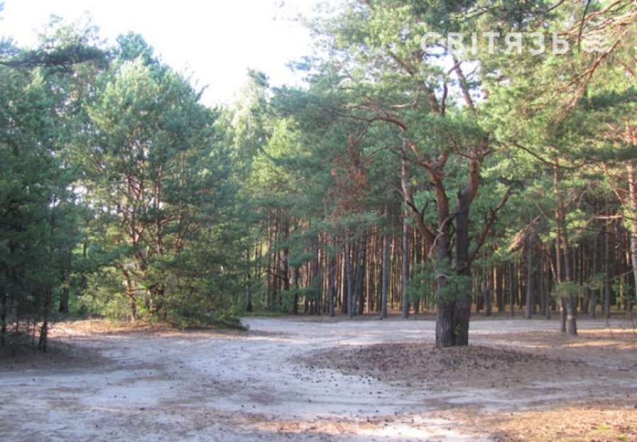 База відпочинку «Лісовик» ур. Гушово