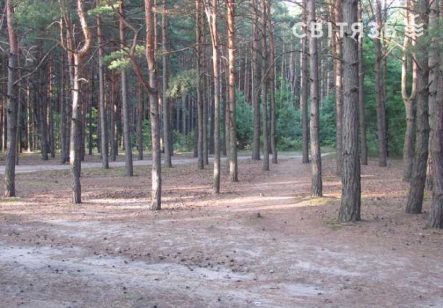 База відпочинку «Лісовик» ур. Гушово