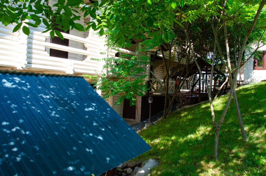 База відпочинку «Лумініца» у Закарпатській області