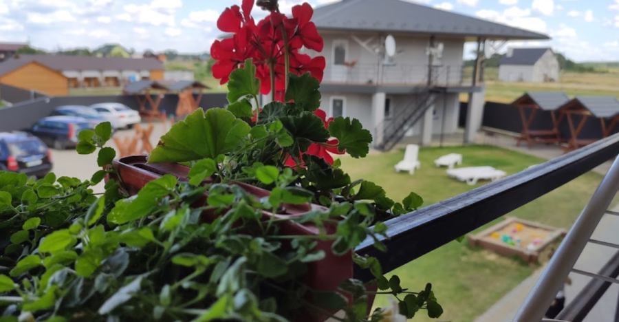 База відпочинку «Мрія» на озері Світязь