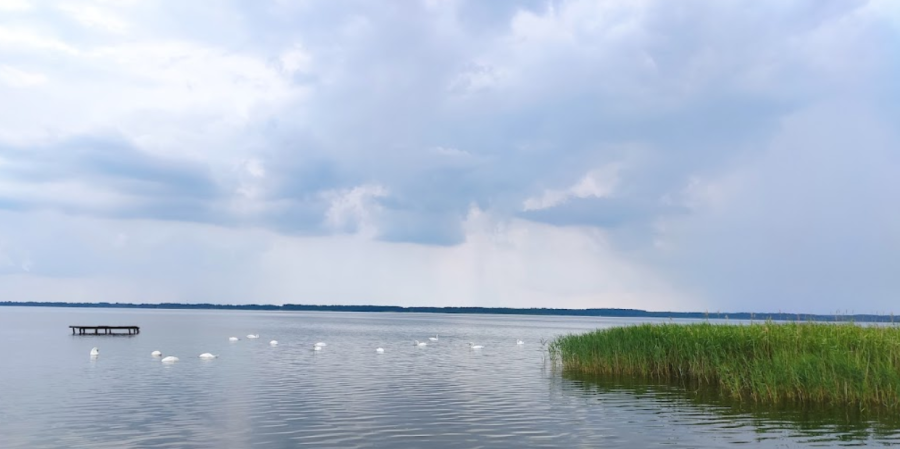 База відпочинку «Пулемчанка»